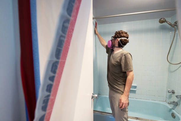 Best Emergency Mold Remediation  in Ravena, NY