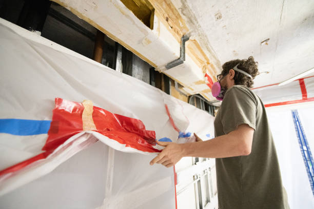 Environmental Consulting for Mold Prevention in Ravena, NY