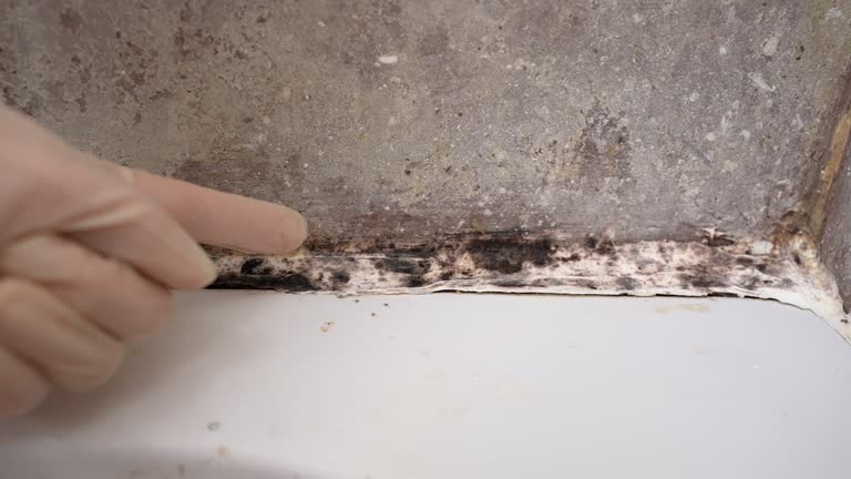 Best HVAC Mold Inspection and Cleaning  in Ravena, NY